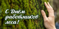 Поздравляем с наступающим профессиональным праздником - Днем работников леса! - Рослесозащита Алтайского края