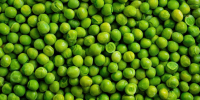 vibrant-green-peas-close-up-view-fresh-garden-produce - Газета Восход