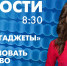 Новости Петербурга к 8:30 - tvspb.ru - ТК Санкт-Петербург