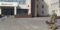 В Новосибирской области кинологи Росгвардии обследовали избирательные участки - Росгвардия