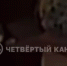 Незнакомка обокрала косметологическую клинику в Екатеринбурге, представившись силовиком - Четвертый канал