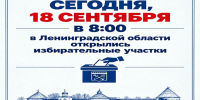 В Ленобласти началось голосование на выборах депутатов - Комитет по дорожному хозяйству
