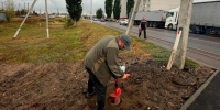 В Новоусманском районе завершили несколько проектов по благоустройству территорий - РИА Новости Новой Усмани