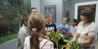 Тайны лесного царства раскрыты! - Музей им. П. В. Жуковского