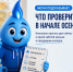 что проверить в начале осени - Старощербиновское сельское поселение