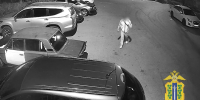 Музыка длилась недолго: меломан из Липецка оказался в полицейском участке - МОЁ! Липецк