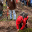 Восстановить зеленые легкие Костромской области - ТРК Русь