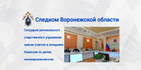 В Воронеже сотрудник регионального следственного управления принял участие в заседании областной Комиссии по делам несовершеннолетних и защите их прав - Следственный комитет