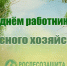 С наступающим днем работников лесного хозяйства 2026! - Рослесозащита Оренбургской области