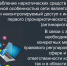 204 - Департамент образования и науки
