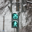 В Омской области парень потерпел фиаско, жульнически сдавая экзамен в ГАИ - Комсомольская Правда