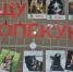 В Омской области планируют внедрить новую систему по отлову бродячих собак - Комсомольская Правда