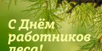 С  Днем работников леса! - Российский центр защиты леса
