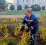 Комбинат благоустройства Балаково ежедневно проводит работы по уборке и озеленению города - GazetaBalakovo.Ru