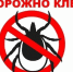Роспотребнадзор напоминает: клещи остаются опасными осенью - Орлиновский муниципальный округ