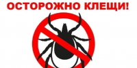 Роспотребнадзор напоминает: клещи остаются опасными осенью - Орлиновский муниципальный округ