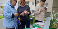 «Щедрой осени дары». Выставка урожая - Культурно-досуговый центр