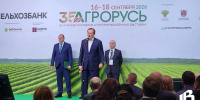 Выборгский район может прокормить себя сам - Газета Выборг