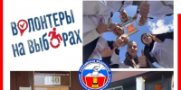 «Волонтеры на выборах» приступили к работе на избирательных участках - Газета Вся Тверь