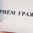 Личный прием в г. Камешково - Министерство имущественных и земельных отношений