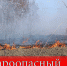 Правила пожарной безопасности в осенний период - Володарский район