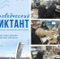 «Краеведческий диктант – 2026» - Жигулевская ЦБС