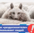 Существует ли госпрограмма по списанию долгов? - Чишминский район