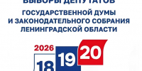 В Ленинградской области началось голосование на выборах-2026 - Комитет финансов