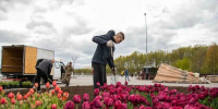 Более 175 тысяч цветов украсили Мурманск минувшим летом - Мурманский вестник