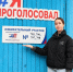 Голос – за процветающее будущее - Администрация г.о. Кашира