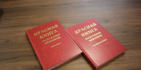 кркниг - Известия Мордовии