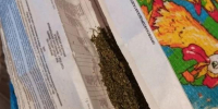 Полицейские изъяли у орловца коноплю и марихуану - Орловский Вестник
