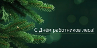 Работники леса, с праздником! - Рослесозащита