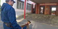 В Воронеже перед выборами проверили избирательные участки с кинологами - VrnTimes.Ru