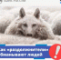 Существует ли госпрограмма по списанию долгов? - Кармаскалинский район