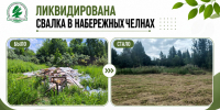 По предписанию экологов в Набережных Челнах ликвидировали свалку - Министерство экологии