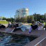 You are viewing the image with filename 9xVF5w4e_gmBGIUzX51AhoYvai99JroUeC6Prw9Tt-EbY6WP7VPFRqBqjJfS9PNDedxeucTJ9USZk6JBxosNPP6I.jpg - Ивановский политех