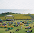 В Крыму пройдет фестиваль WINEPARK в новом формате - КрымИнформ
