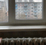 Иллюстрация сгенерирована в ChatGPT - News29.Ru