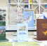 Книга об Александре Пушкине и издание, посвящённое Старому Крыму, выйдут до конца 2026 года - Мининформ Республики Крым