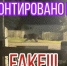 Жителей Эхирит-Булагатского района предупредили о фейках про медведей - КП-Иркутск