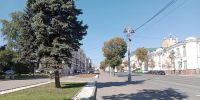 В центре Курска высадят липы - Комсомольская Правда