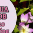 Мероприятия в Кирове 19 и 20 сентября: афиша - ГТРК Вятка