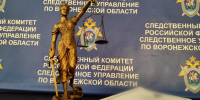 В Воронеже местный житель осужден за применение насилия к сотрудникам полиции - Следственный комитет
