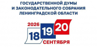 В Ленинградской области проходит голосование на выборах-2026 - Комитет по транспорту