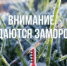 С 19 по 21 сентября местами по республике ожидаются заморозки в воздухе и на поверхности почвы до 0,-2° - Калтасинский район