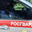 В Липецке росгвардейцы задержали водителя, управлявшего автомобилем в состоянии алкогольного опьянения - Росгвардия