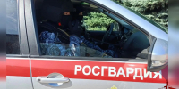 В Липецке росгвардейцы задержали водителя, управлявшего автомобилем в состоянии алкогольного опьянения - Росгвардия