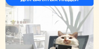 Из-за вечной нехватки времени забота о себе отходит на второй план, не говоря уже о регулярных тренировках - Министерство физической культуры и спорта