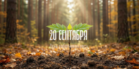 Поздравление Губернатора Александра Авдеева с Днём работников леса - Администрация области